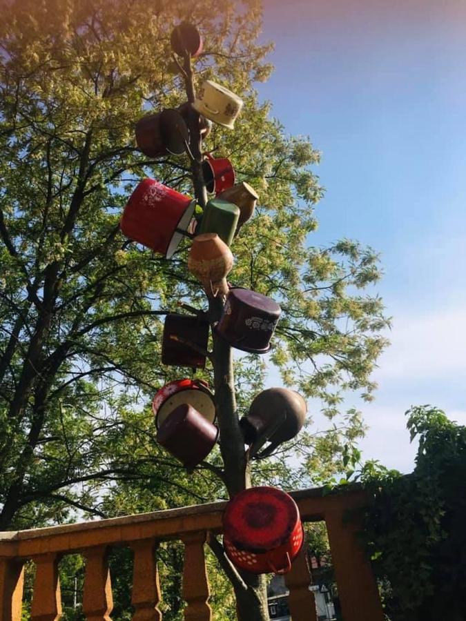 Pensiunea Casa Mariuca Văleni Buitenkant foto