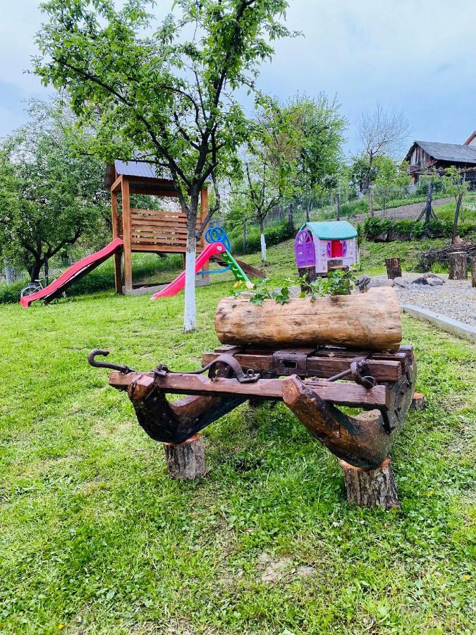 Pensiunea Casa Mariuca Văleni Buitenkant foto